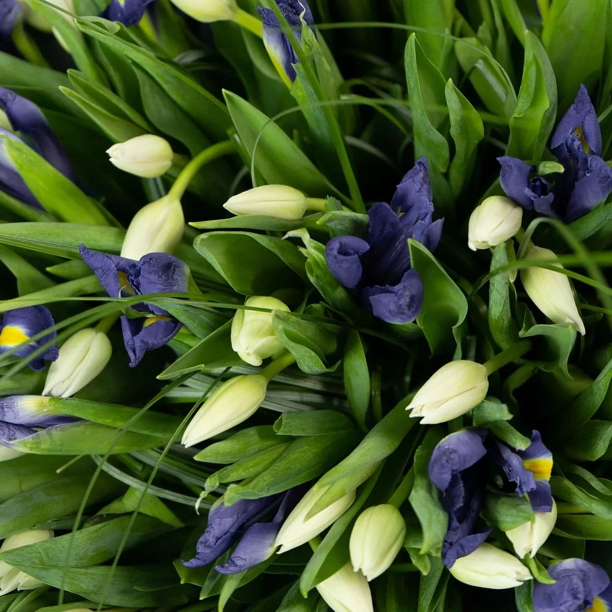 Букет из ирисов и тюльпанов