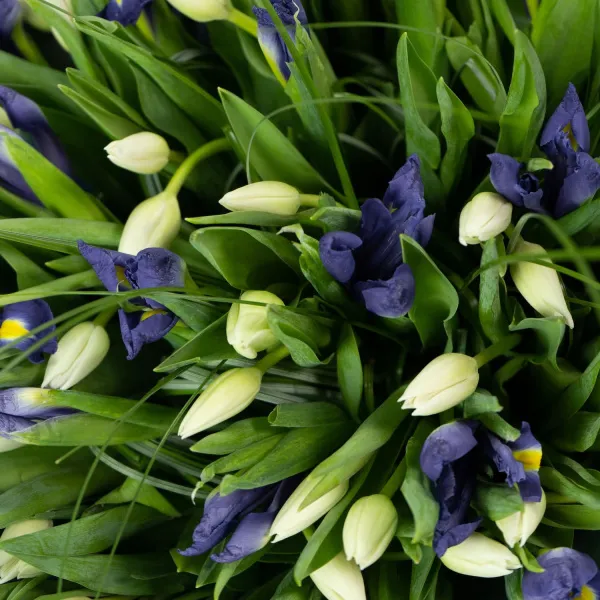 Букет из ирисов и тюльпанов