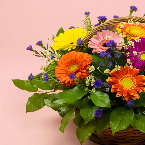 Герберы и ромашеки в корзине