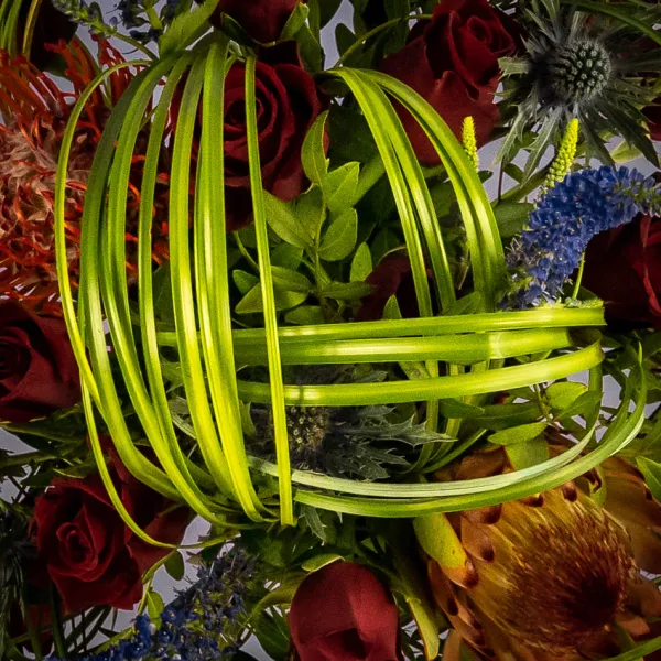 Красные розы и протея в коробке