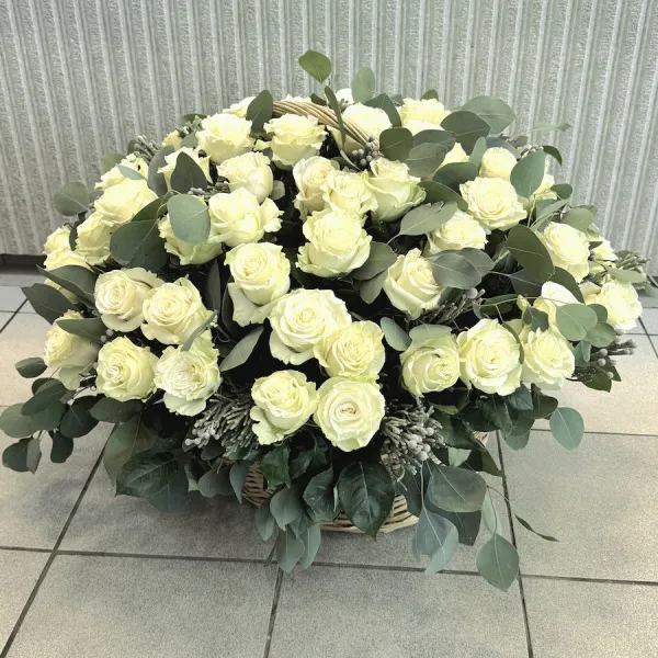 75 роз и брунии в корзине