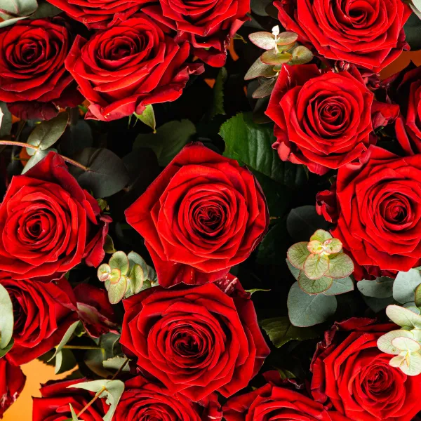Букет из 25 красных роз (50 см)