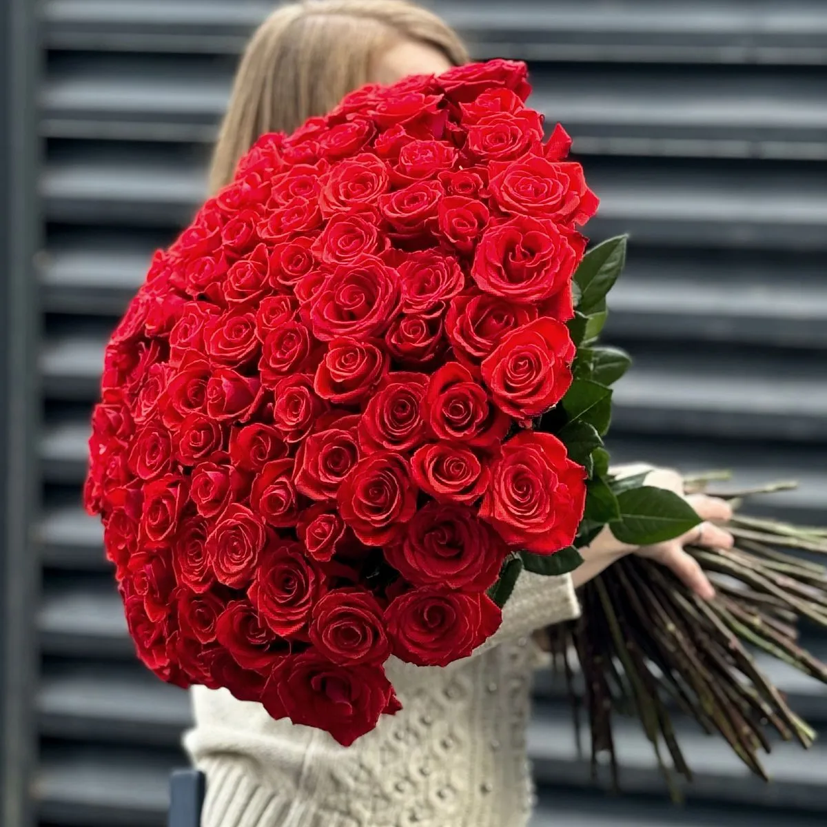 Букет 251 алая роза эквадор (70см)