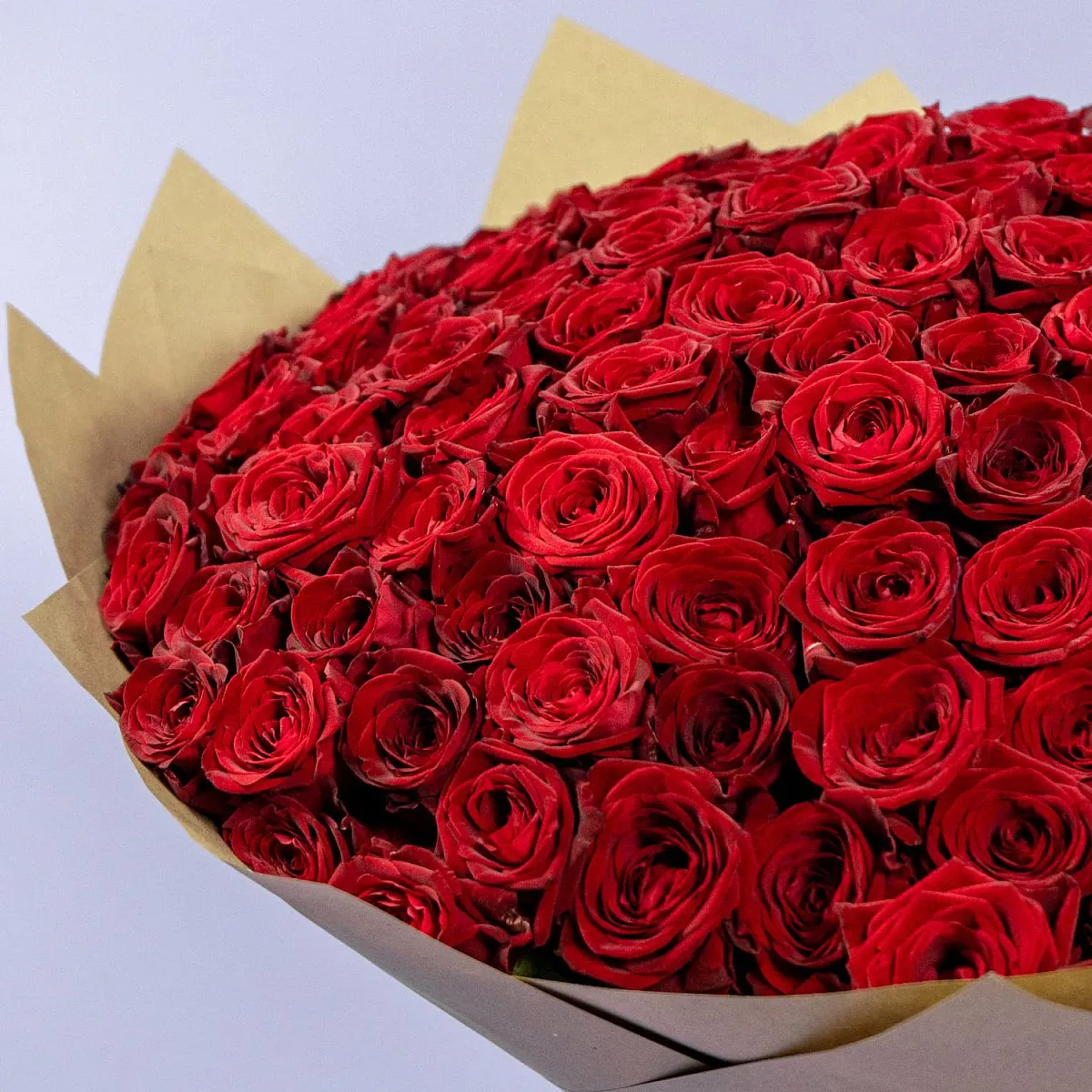 201 красная роза (60 см)