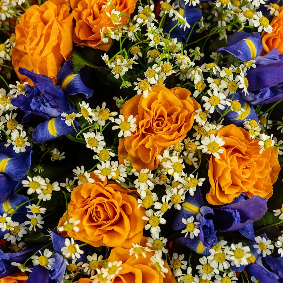 Букет из ирисов и оранжевых роз