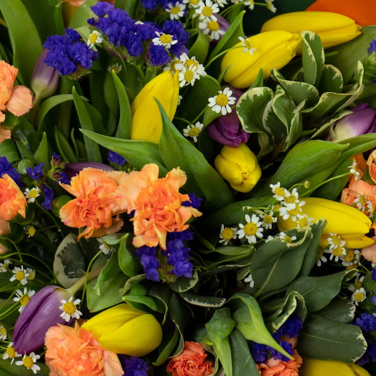 Букет из гвоздик и тюльпанов