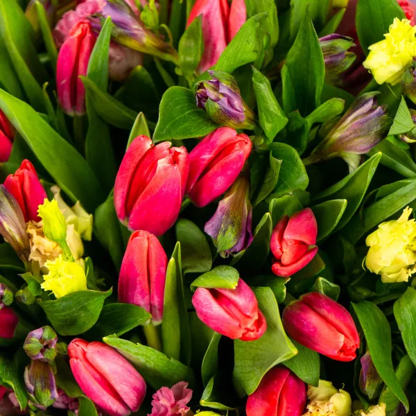 Букет из 30 тюльпанов и альстромерий