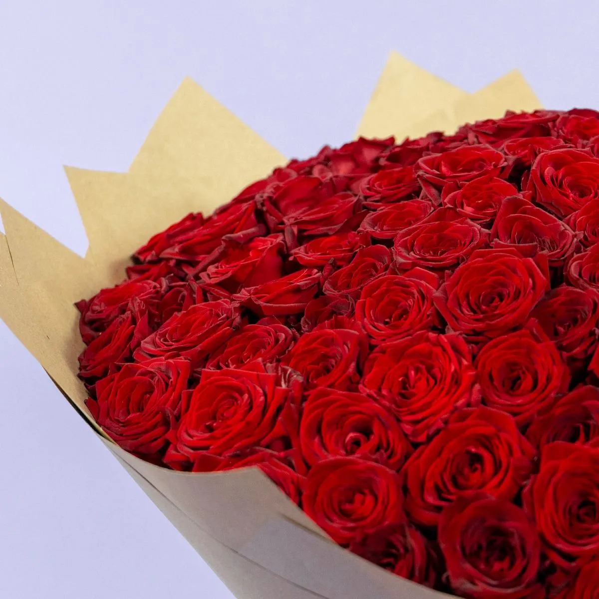 151 красная роза (60 см)