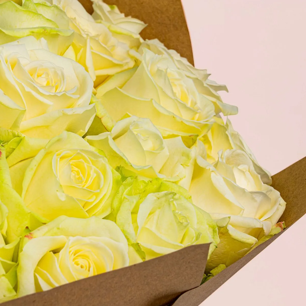 55 бело-зеленых роз (50 см)