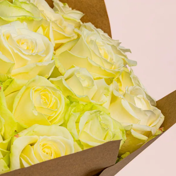 85 бело-зеленых роз (50 см)