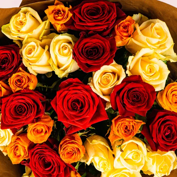 33 розы микс (50 см)