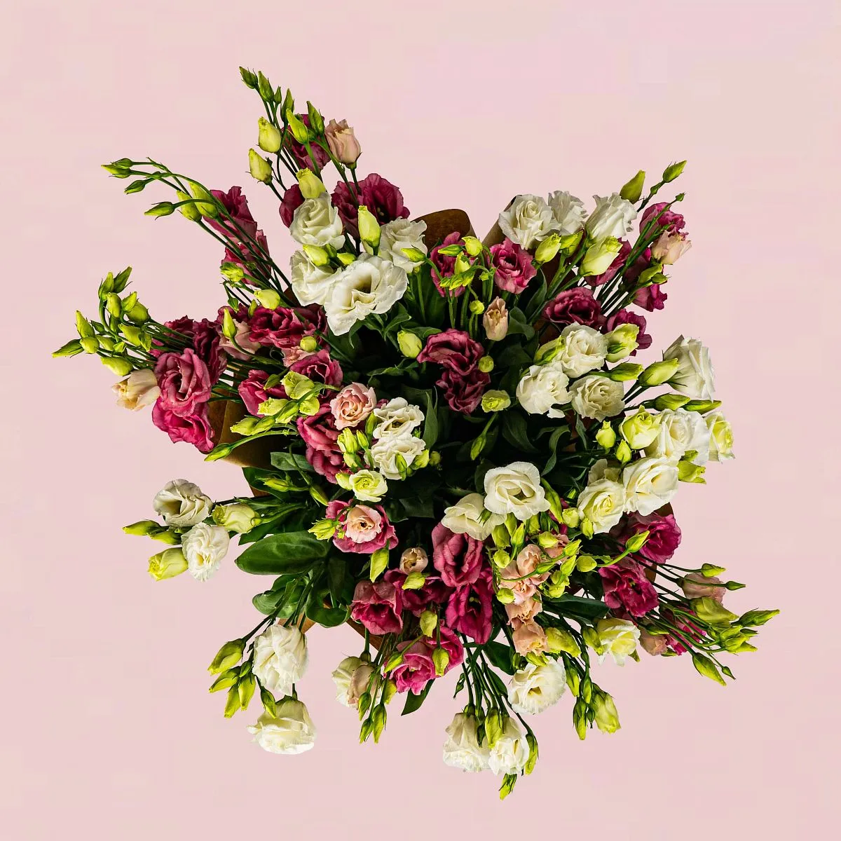 35 эустом большой