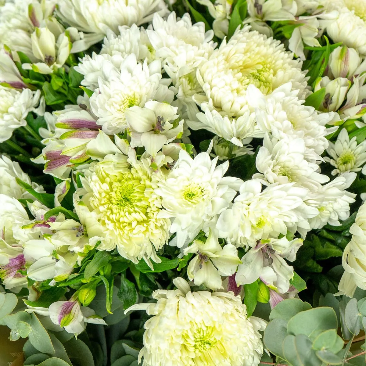 Букет из хризантем микс и альстромерий