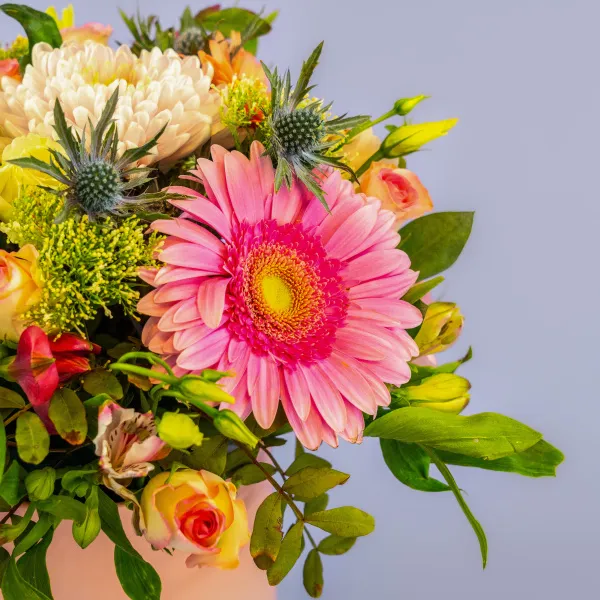 Герберы, альстромерии, розы в коробке