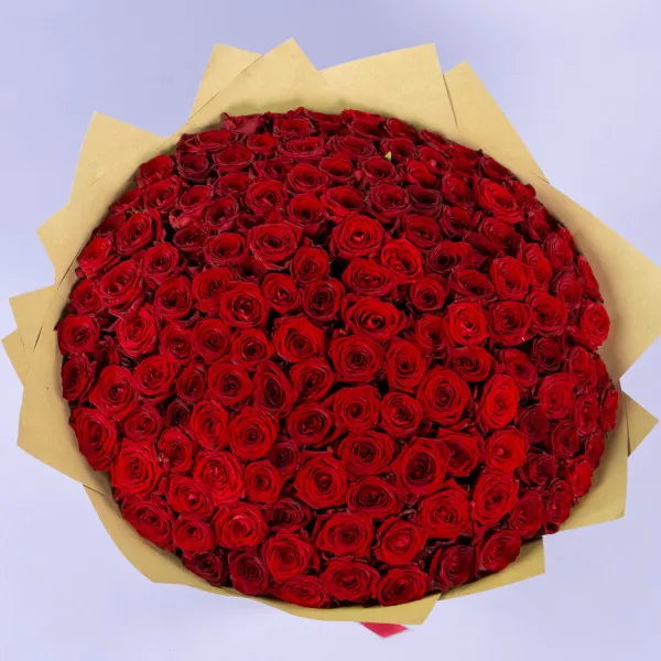 151 красная роза (60 см)