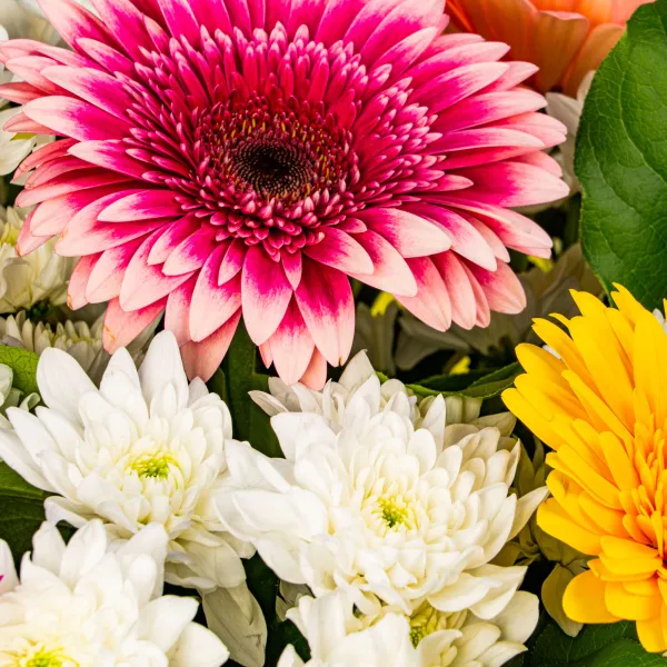 Букет из гербер и хризантем