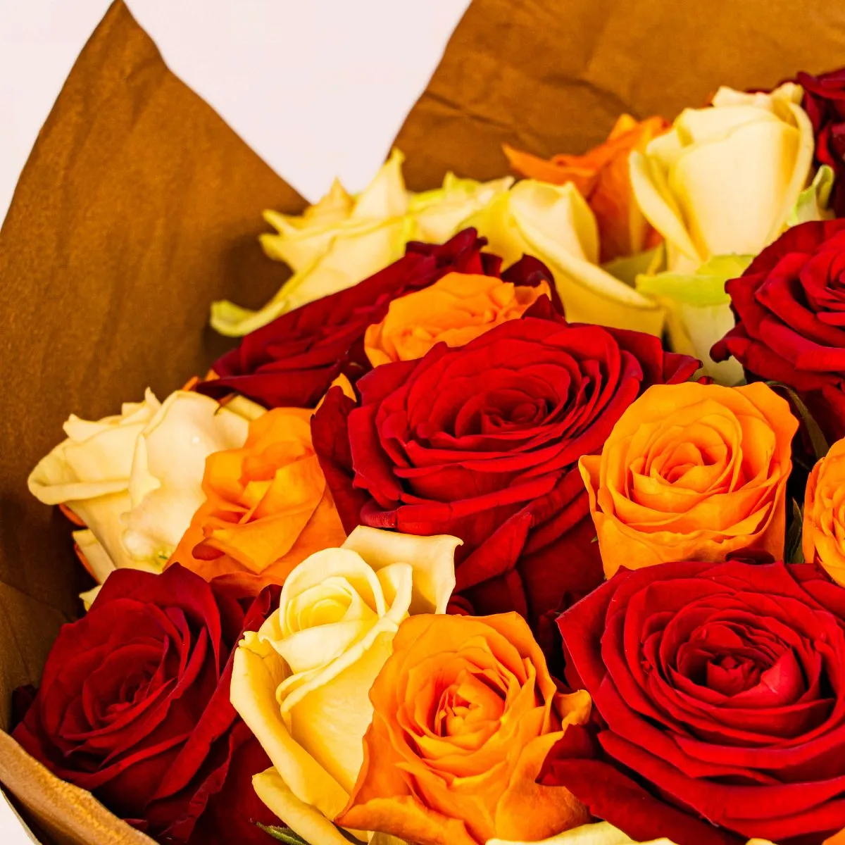 33 розы микс (50 см)