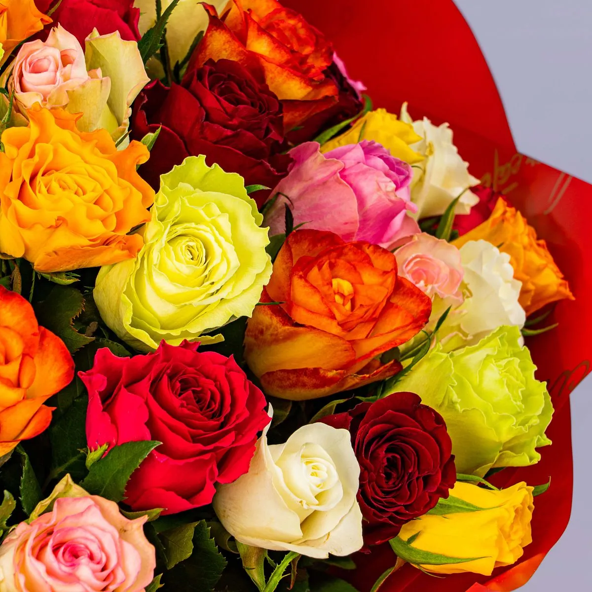 101 роза микс (60 см)