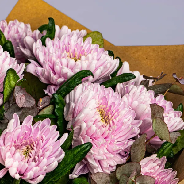 21 розовая хризантема