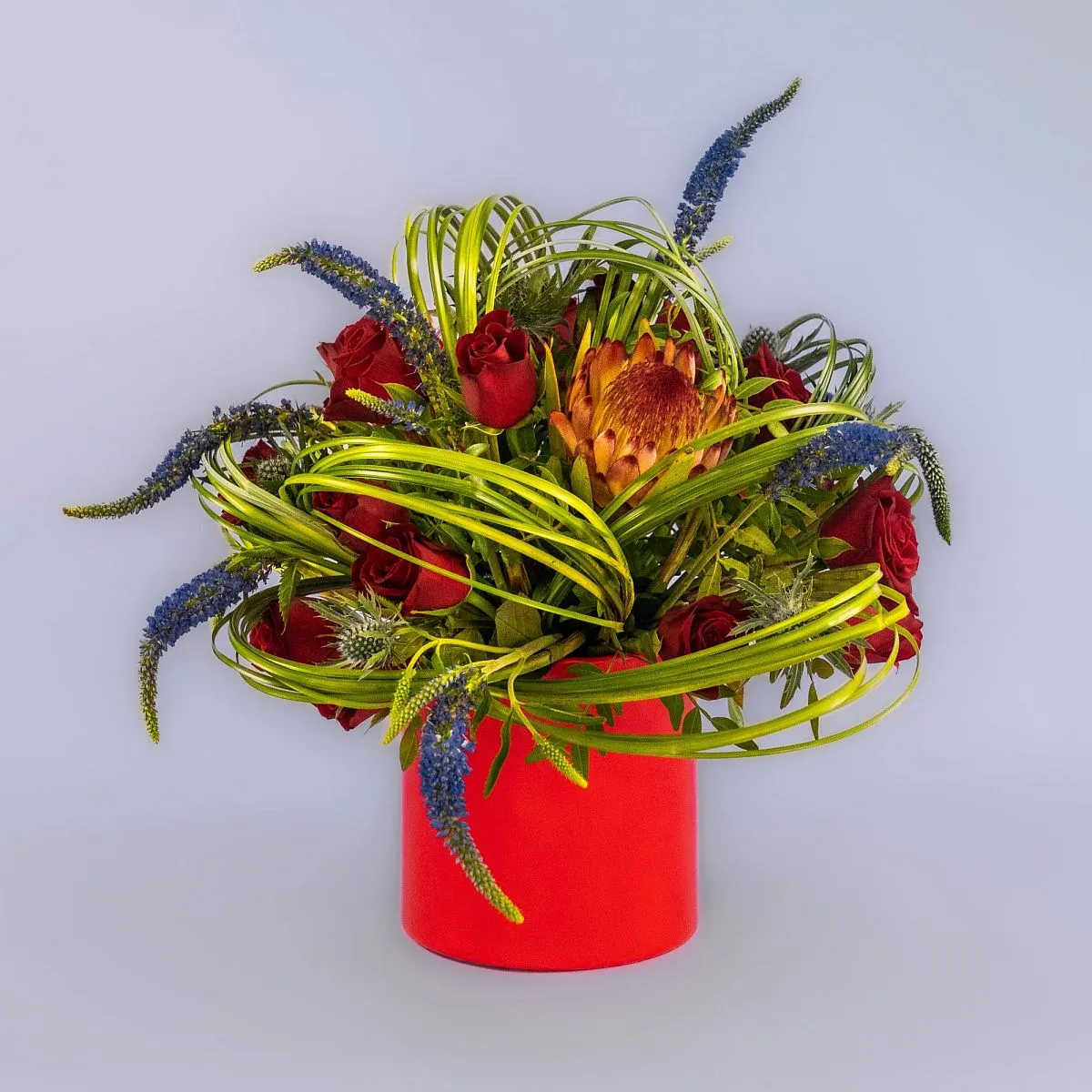 Красные розы и протея в коробке