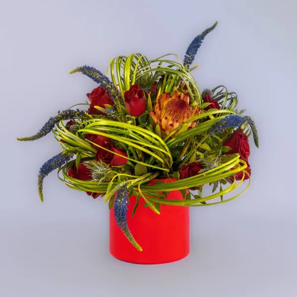 Красные розы и протея в коробке