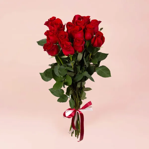 15 красных роз (70 см)