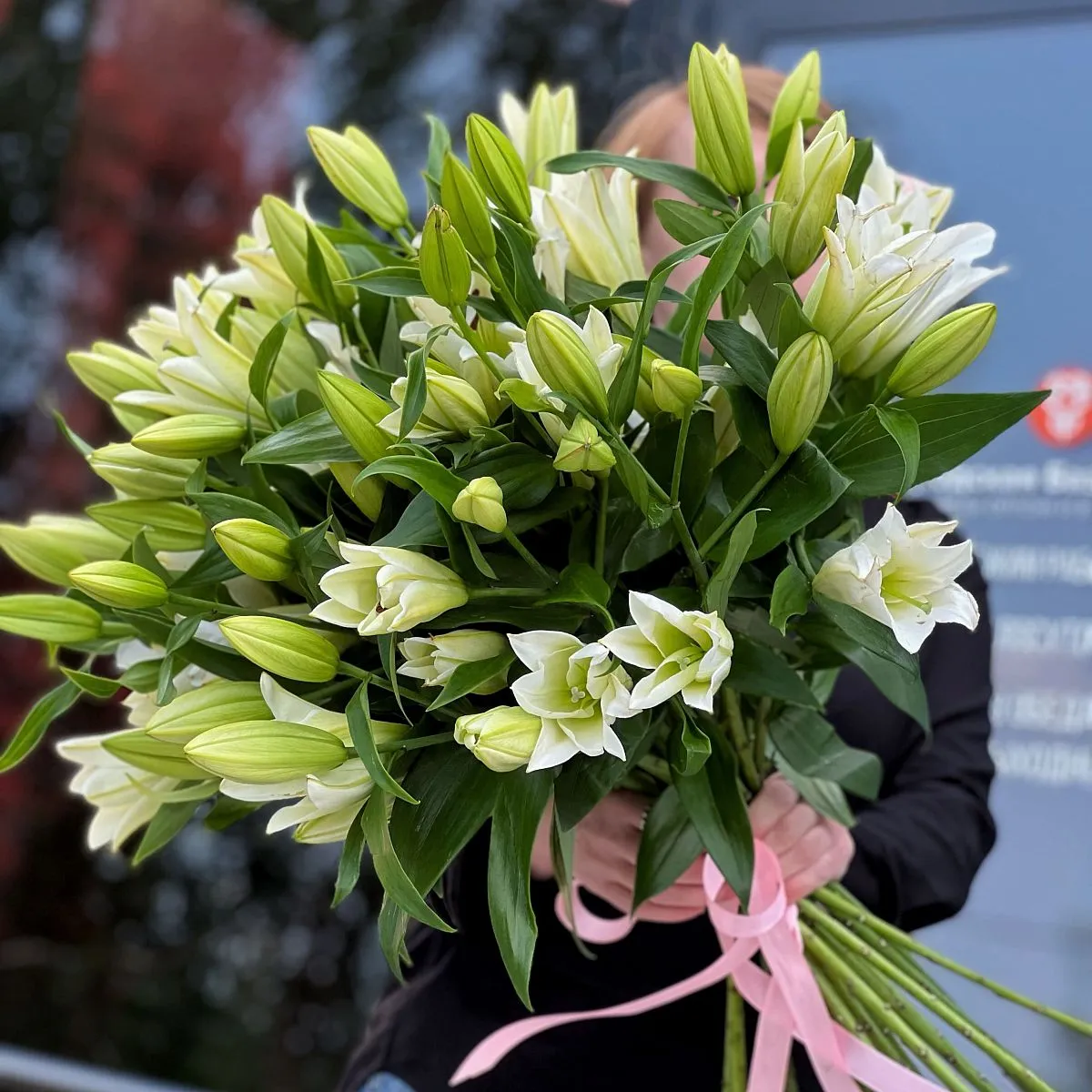 21 бело-зелёная лилия