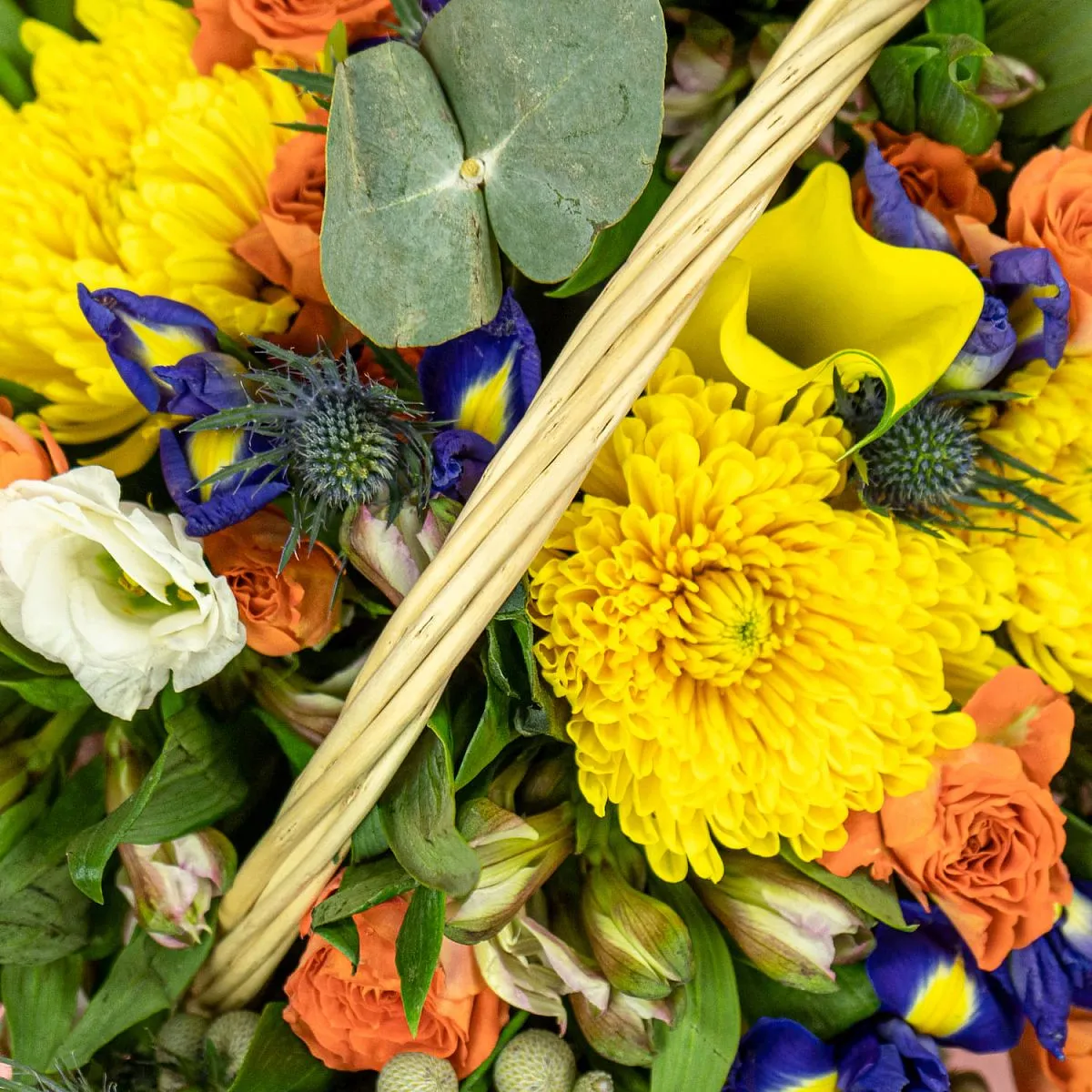 Ирисы и хризанты в корзине