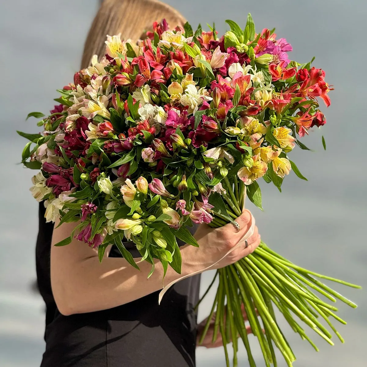 51 альстромерия