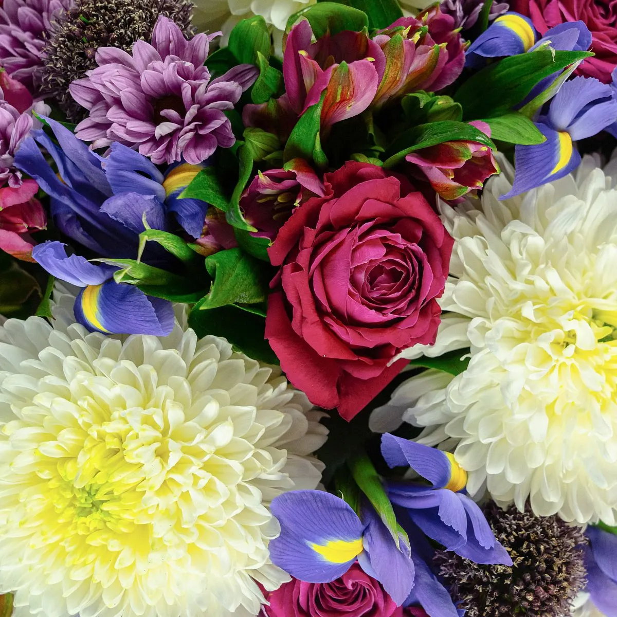 Ирисы и хризантемы микс в коробке