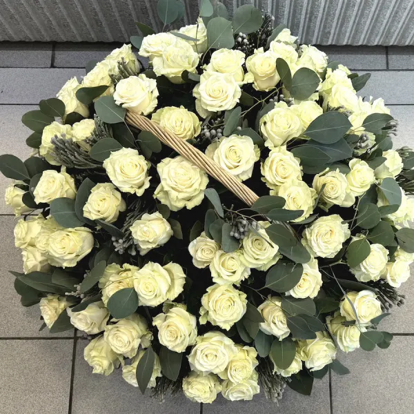 75 роз и брунии в корзине