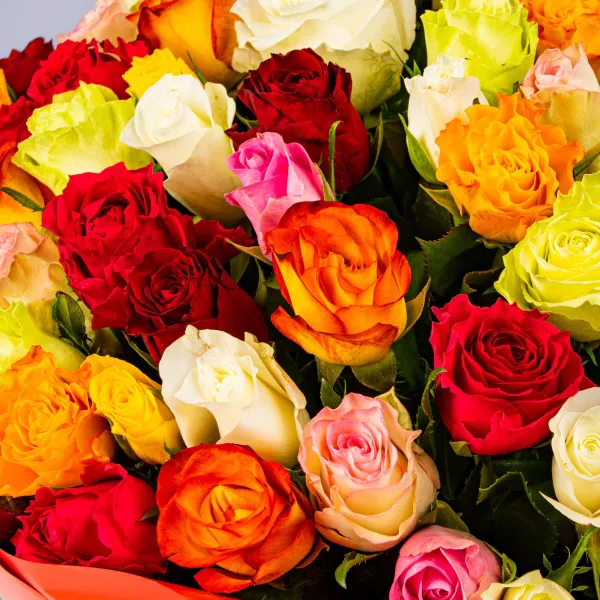 101 роза микс (60 см)