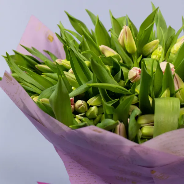 150 нежно-розовых тюльпанов