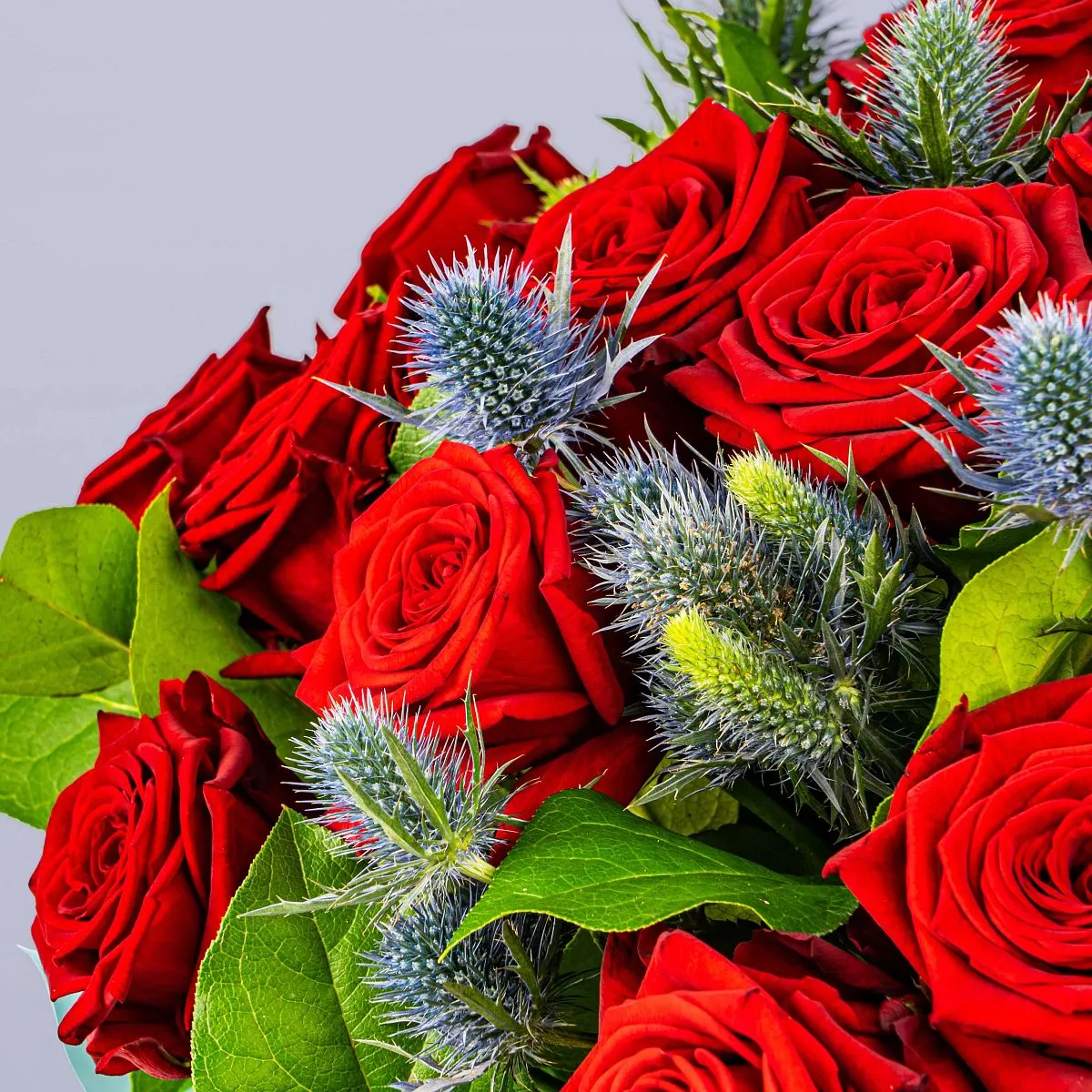 35 роз и эрингиумы большой