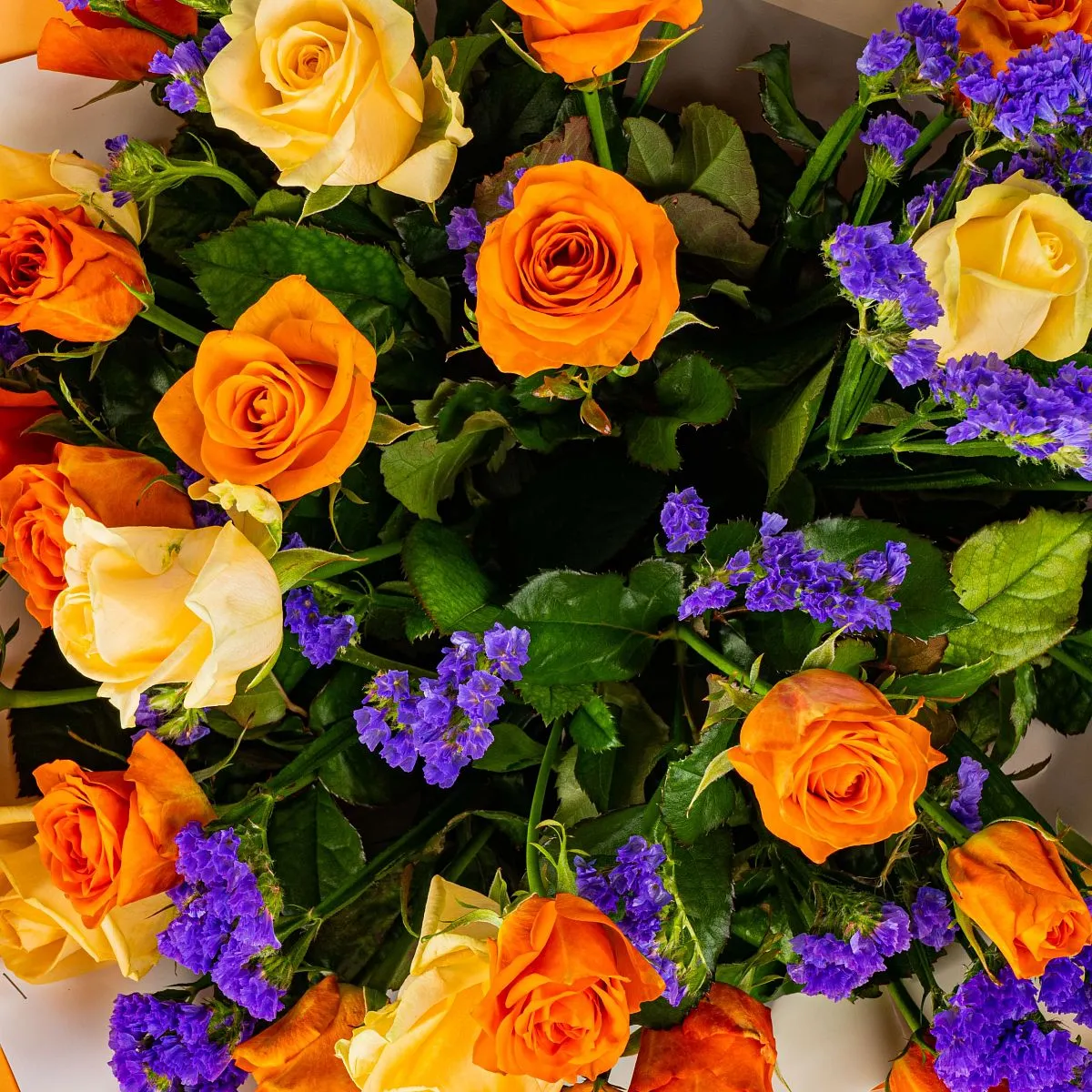 51 роза и статица огромный