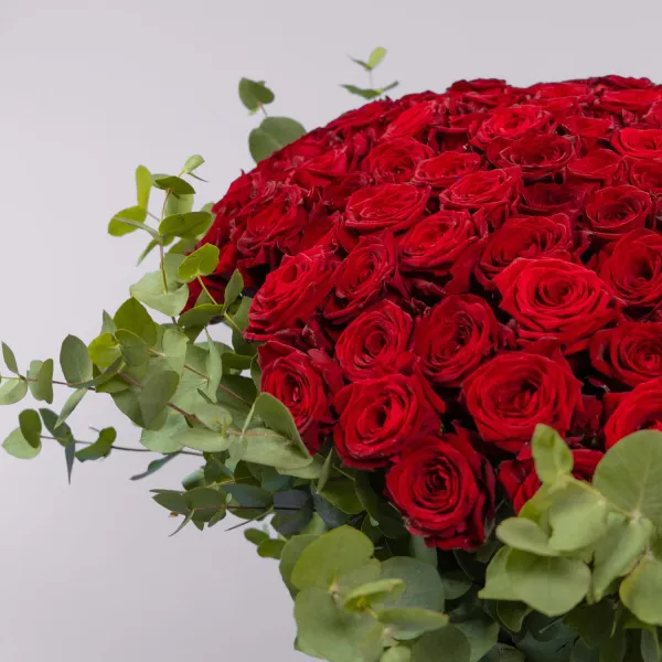 Букет из 151 розы и эвкалипта