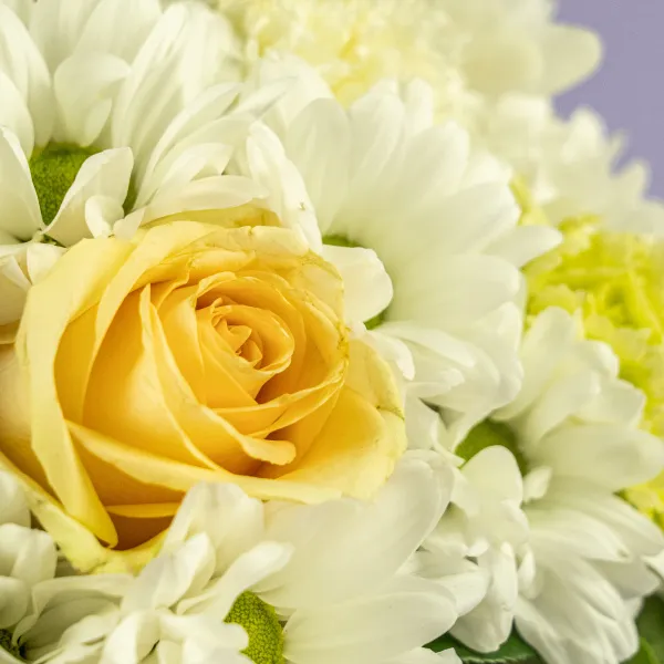 Гвоздики, хризантемы и розы в коробке