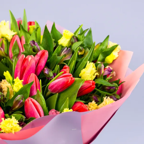 Букет из 30 тюльпанов и альстромерий