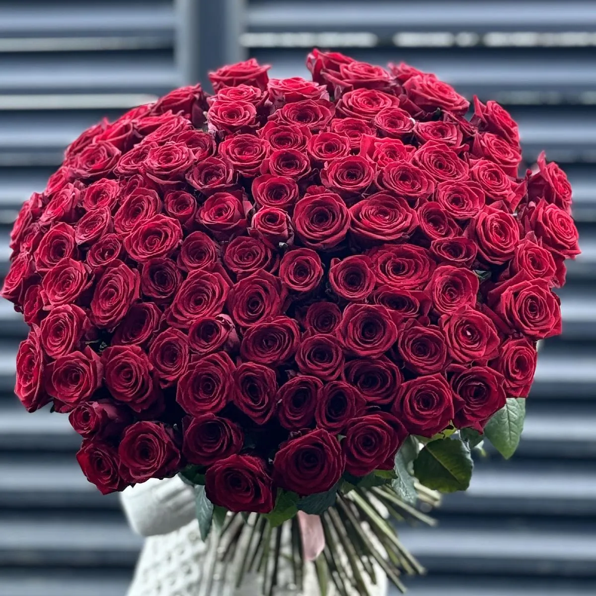 Букет 201 красная роза эквадор (70см)