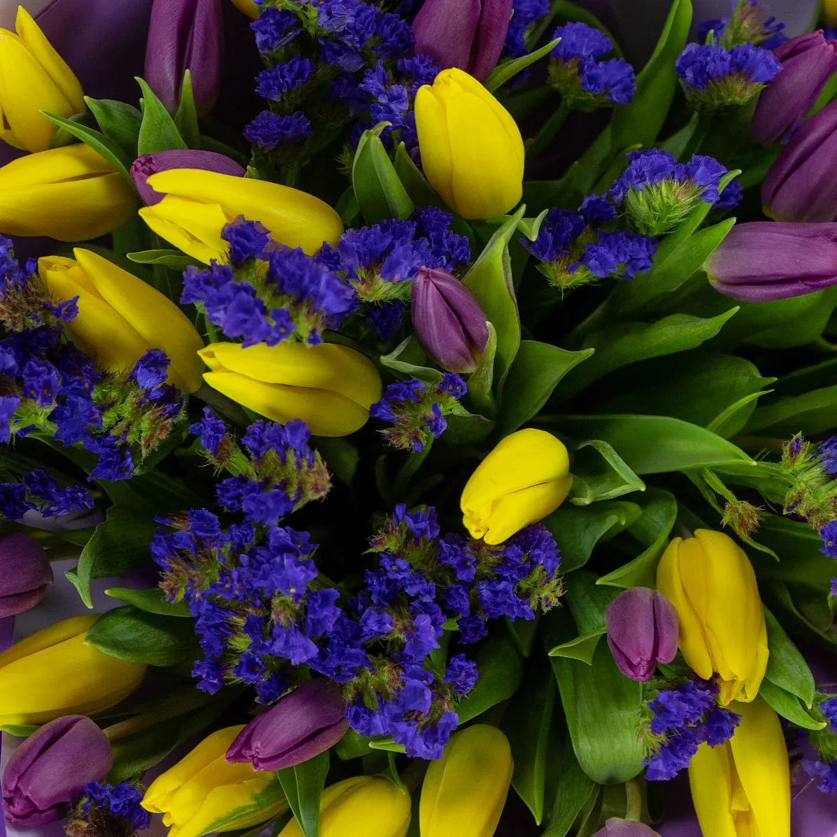 Букет из 35 тюльпанов