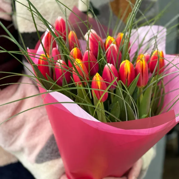 31 тюльпан и берграсс