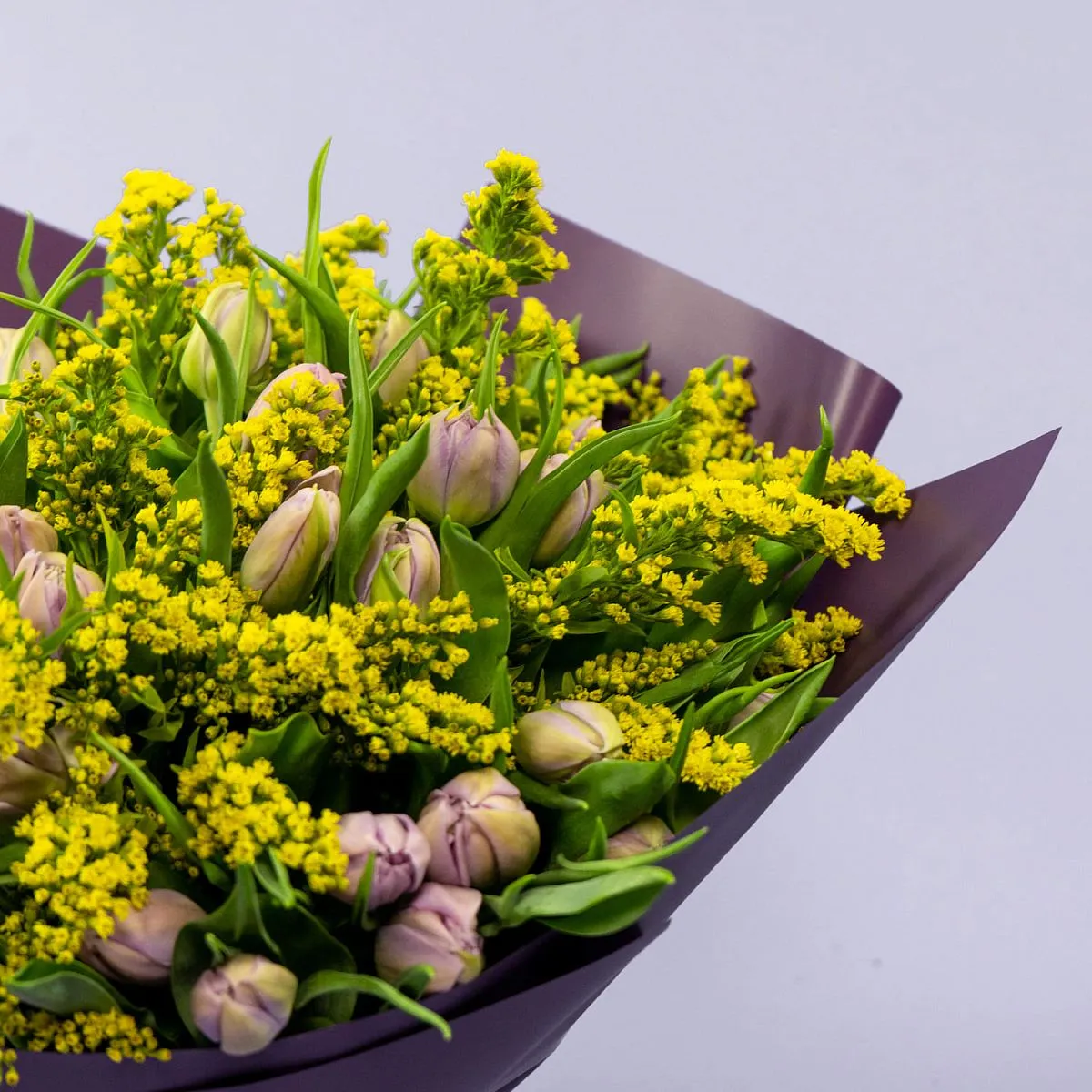 Букет из 49 тюльпанов и солидаго