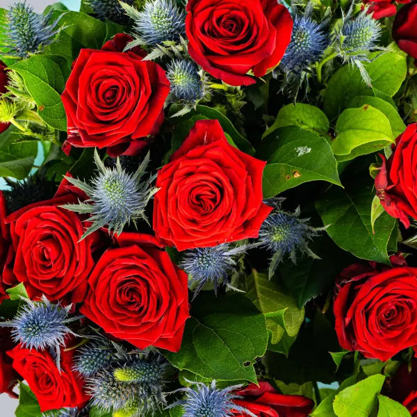 35 роз и эрингиумы