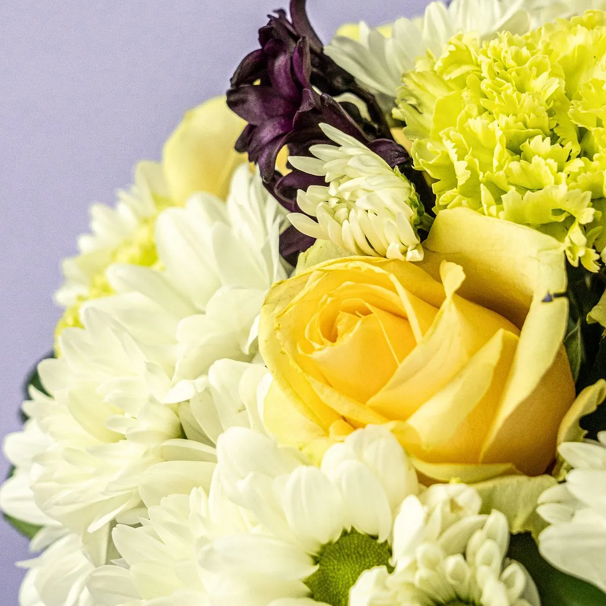 Гвоздики, хризантемы и розы в коробке