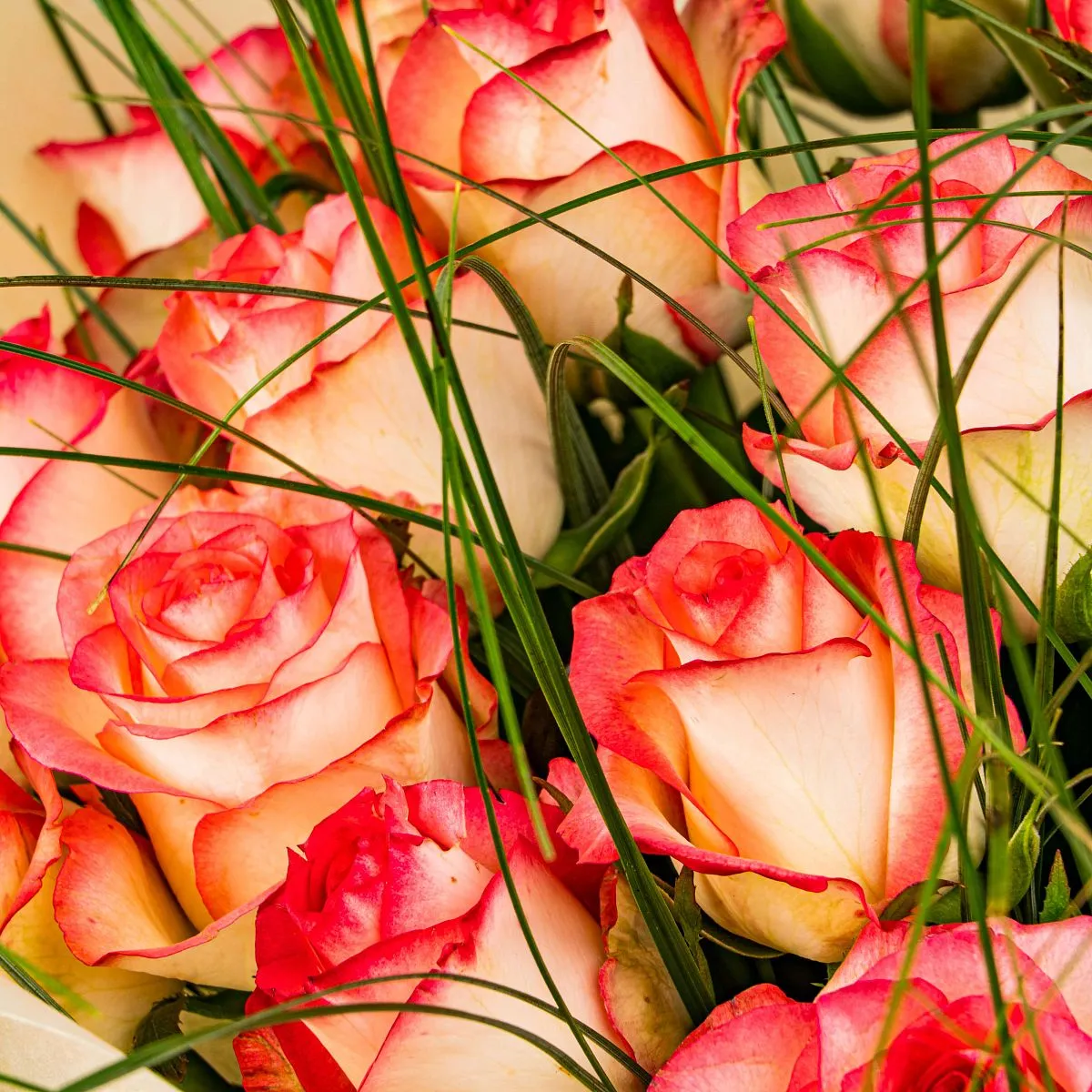 Букет из роз и берграсса