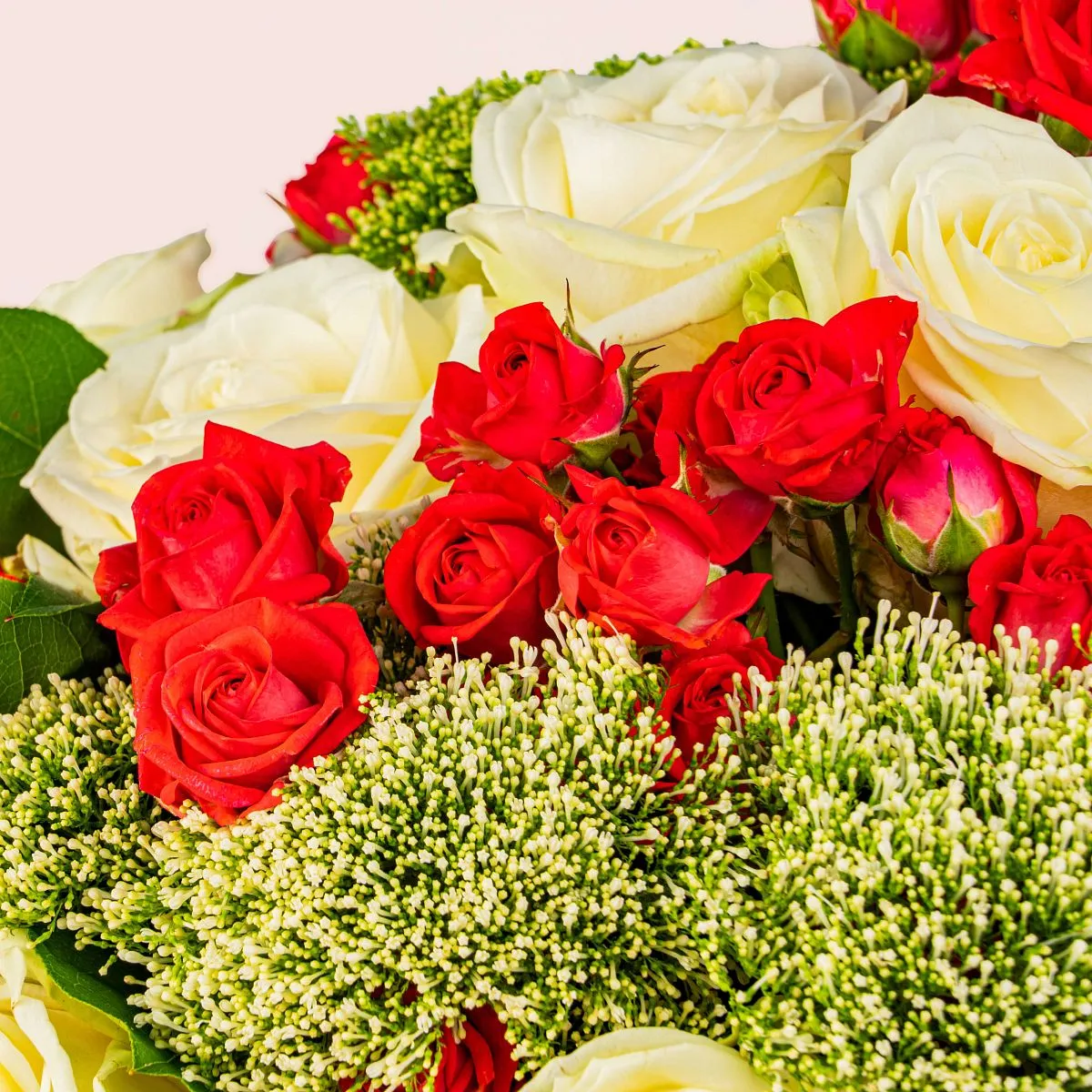 23 белых и красных роз микс большой