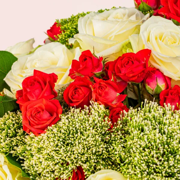 25 белых и красных роз микс