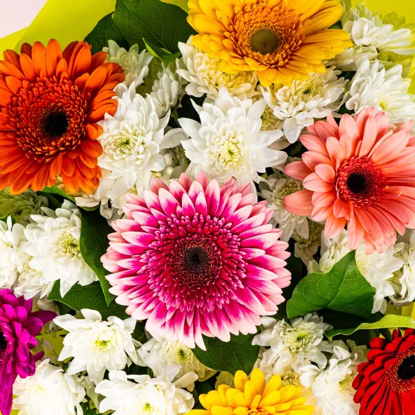 Букет из гербер и хризантем