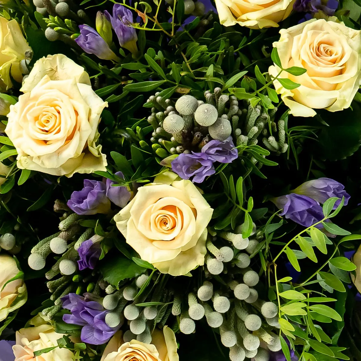 Букет из кремовых роз и фрезий