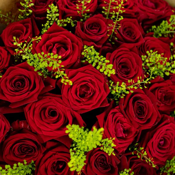 Букет из 35 бордовых роз